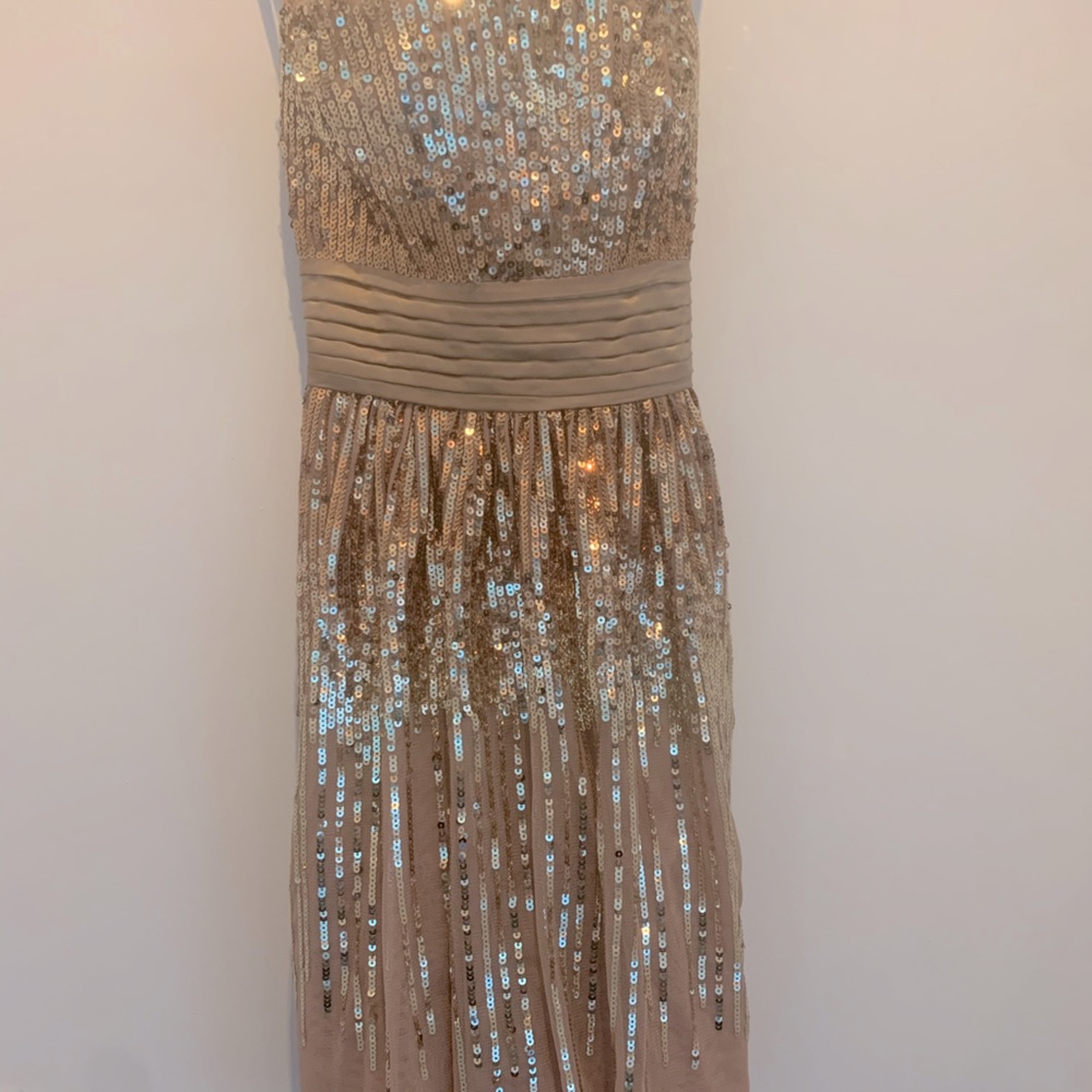 BCBG Party Dress